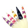 Butterfly Set Foil