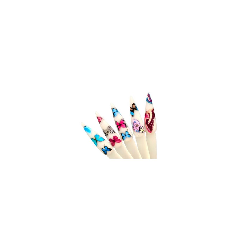 Set Foil Butterfly XL