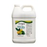 Pedi Spa Cleaner